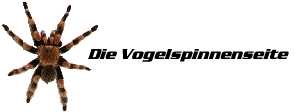 Vogelspinnenseite