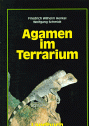 Agamen im Terrarium