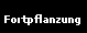 Fortpflanzung
