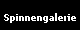 Spinnengalerie
