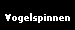 Vogelspinnen