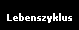 Leebenszyklus