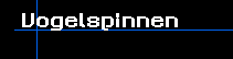 Vogelspinnen
