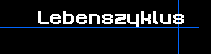 Lebenszyklus