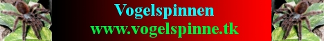 Vogelspinnen